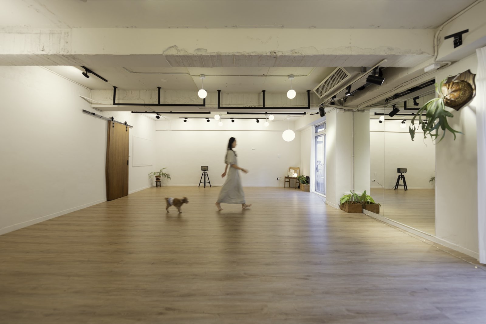 秄子 zuzu_zen 空間